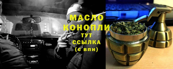 молекула духа Богданович